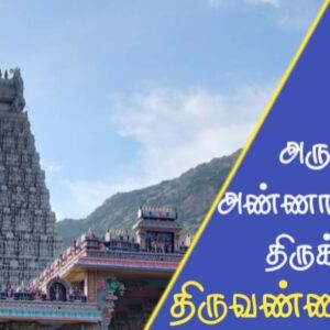 திருவண்ணாமலை அண்ணாமலையார் திருக்கோயில்