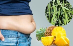 belly fat loss tips