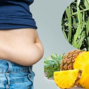 belly fat loss tips