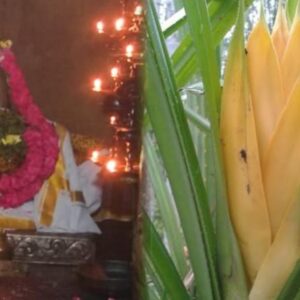 flowers not for poojai