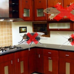 get rid of house flies