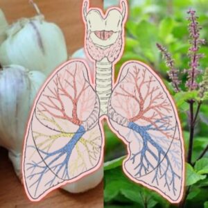 healthy food for lungs