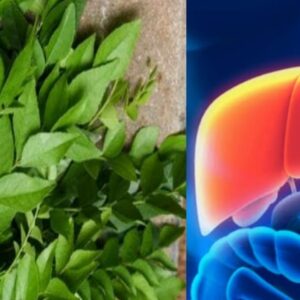 kari leaf benefits