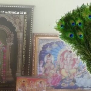 vittil mayil iraku vaithal tosham neenguma