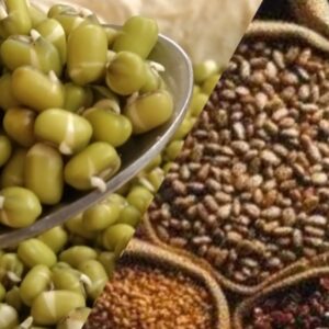 உடலுக்கு வலிமையை தரும் பயிறு வகைகள்