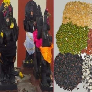 நவகிரகங்களுக்கு உரிய நவதானிய தானங்கள்
