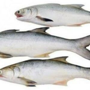 மீன் சாப்பிடுவதால் ஏற்படும் நன்மைகள்