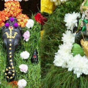 விநாயகருக்கு உகந்த அருகம்புல் வழிபாடு