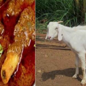 mutton benefits