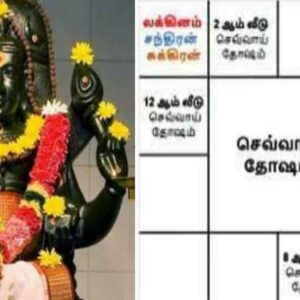 sevvai thosam