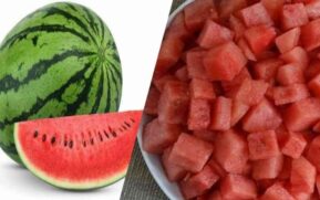 watermelon benefits in tamil