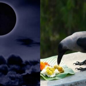 அமாவாசை நாளில் என்ன செய்யலாம்