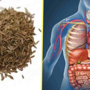 seeragam benefits