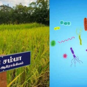 organic rice benefits in tamil