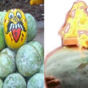 திருஷ்டி நீக்கும் பூசணிக்காய்