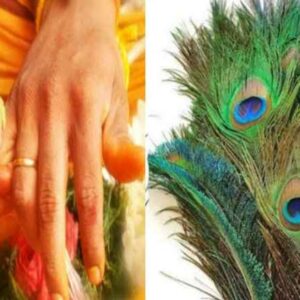 remove all your doshas with a peacock feather