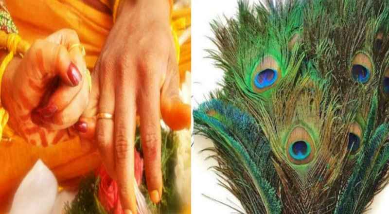 remove all your doshas with a peacock feather