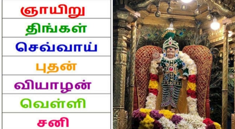 which-day-to-worship-lord-muruga