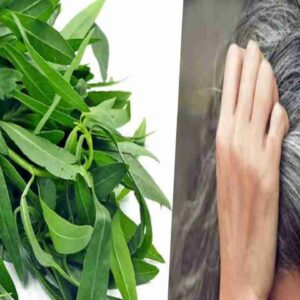alternanthera sessilis benefits