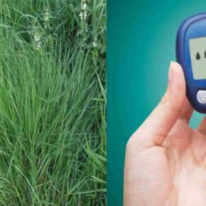 arugampul benefits