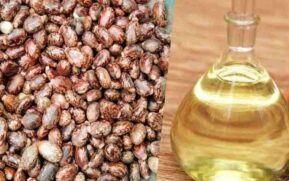 castor oil benefits