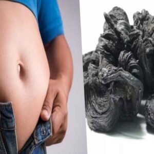 garcinia cambogia