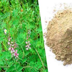 herb powder benefits