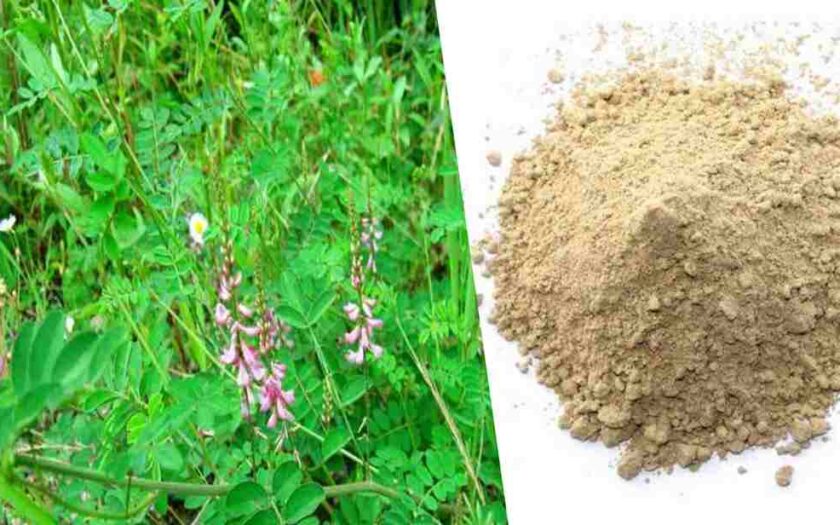 herb powder benefits