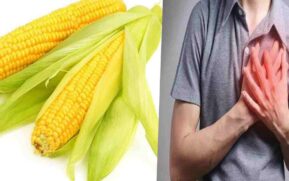 sweet corn benefits