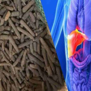benefits of thippili