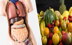 foods-that-fight-disease
