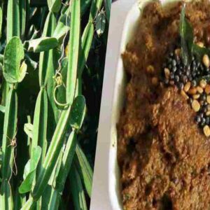 health-benefits-of-pirandai