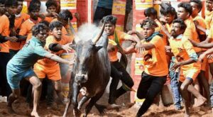 jallikattu history