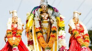 palamuthircholai thirupugal