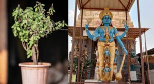 Devotee chanting Vishnu Sahasranamam and singing bhajans on Ekadashi